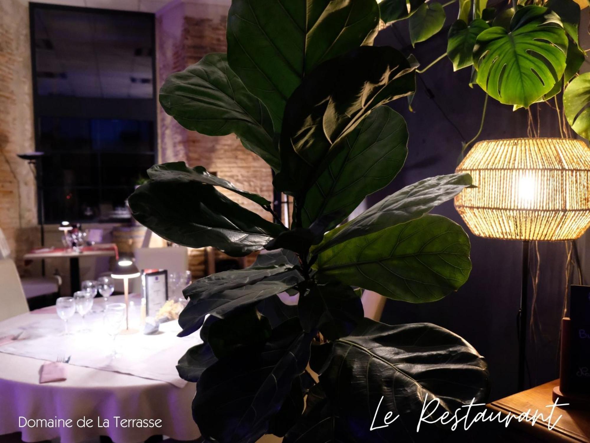 CarbonneDomaine De La Terrasseアパートメント エクステリア 写真
